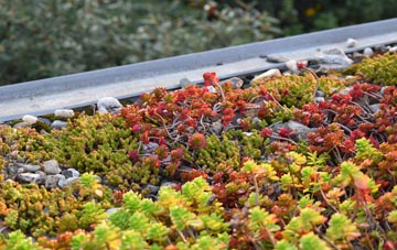 the cost of Laphroaig green roof installation