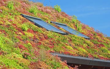 Laphroaig living roof systems