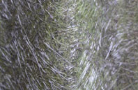 Laphroaig fibreglass roof work